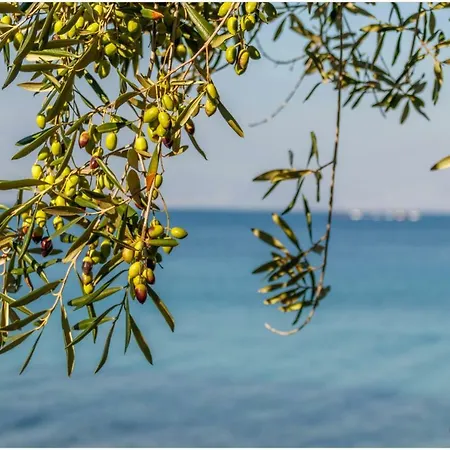 Traditional Fishing Village Boukaris